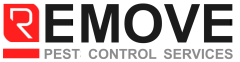Remove: Pest Control Services